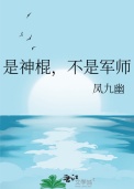 是神棍，不是军师/凤九幽