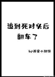 杭十七不是哈士奇免费阅读